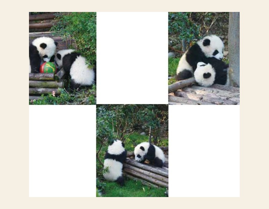 如果事事都如意，那就不叫生活了