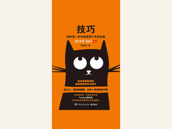 扉页题签：技巧不是捷径，而是长期训练的组织方式