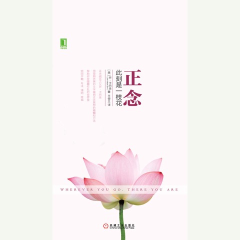 正念：此刻是一枝花