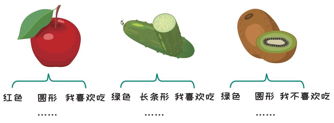 ▲图4-5 观察苹果、黄瓜、猕猴桃