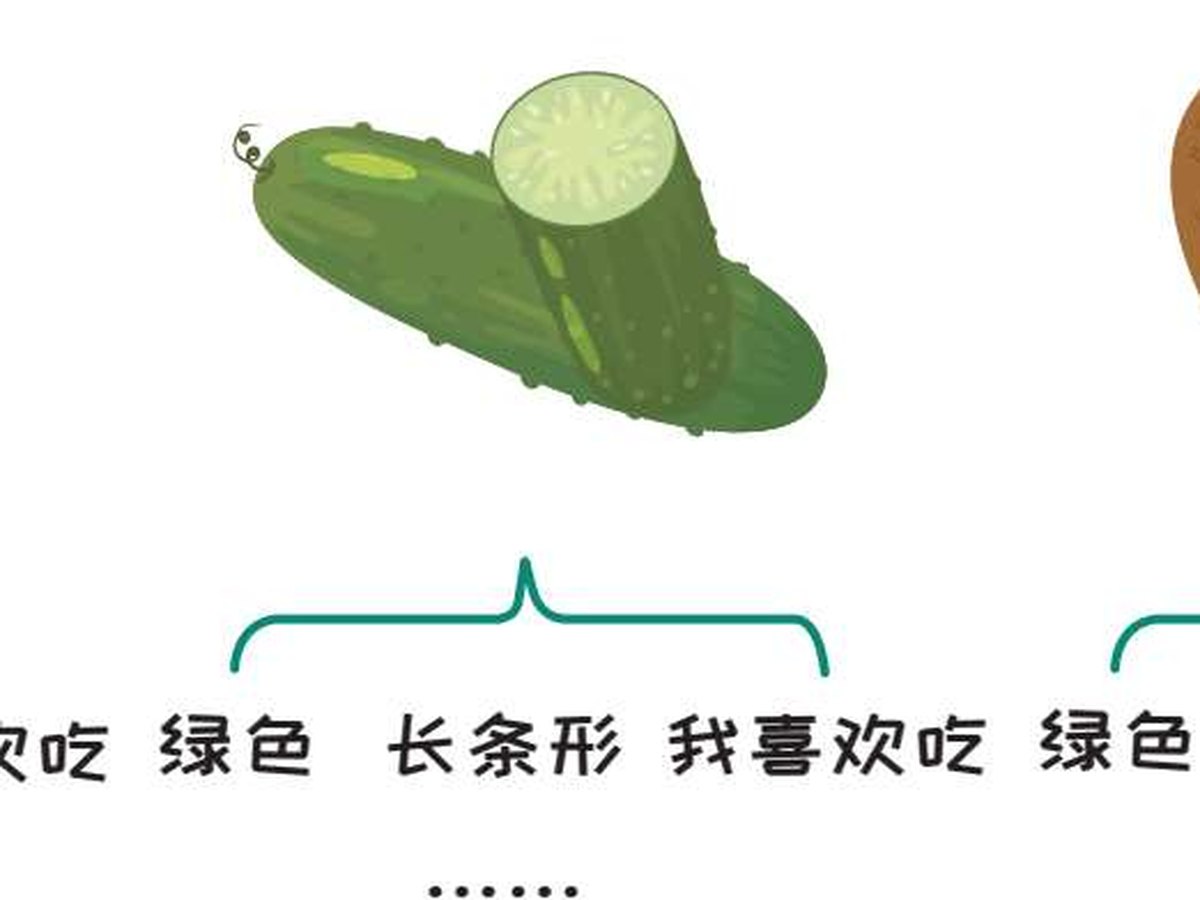 ▲图4-5 观察苹果、黄瓜、猕猴桃