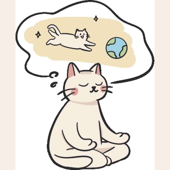 把今天重新活回来