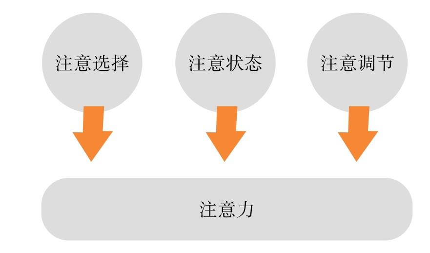 原来都是注意力问题