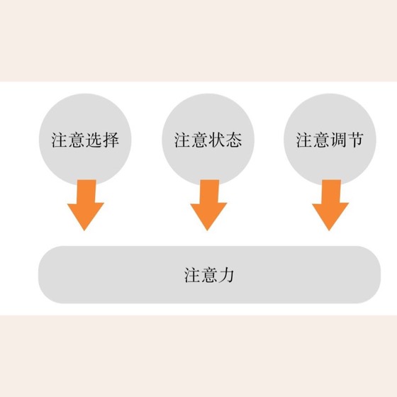 注意力是可支持、可训练的