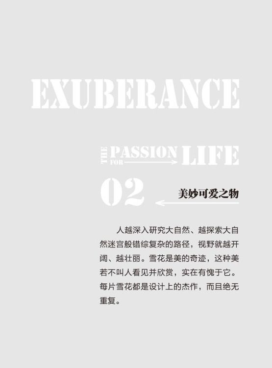 原书图片 6