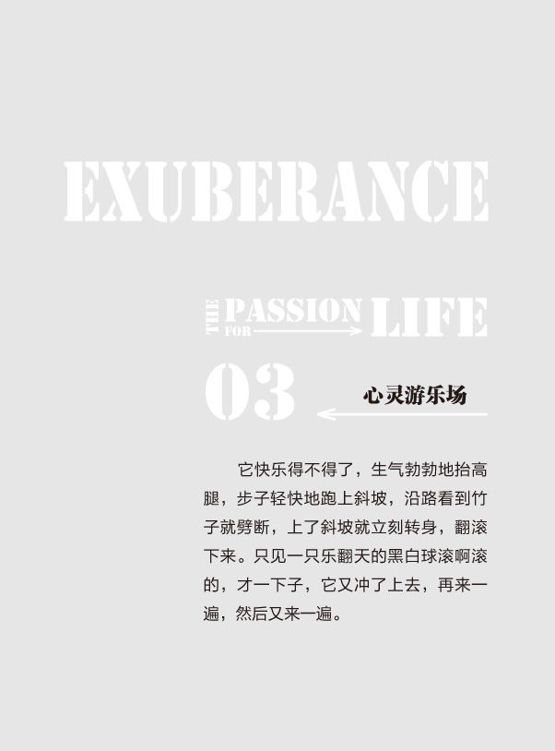 原书图片 7