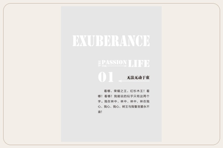 原书图片 5
