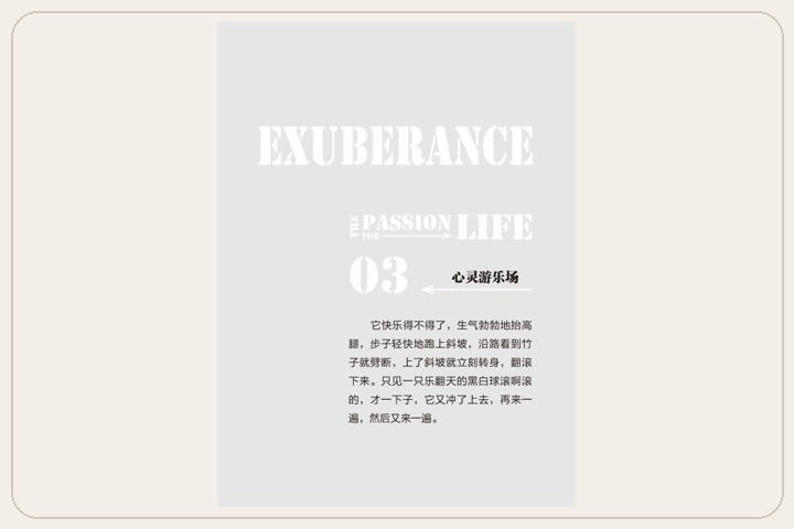原书图片 7