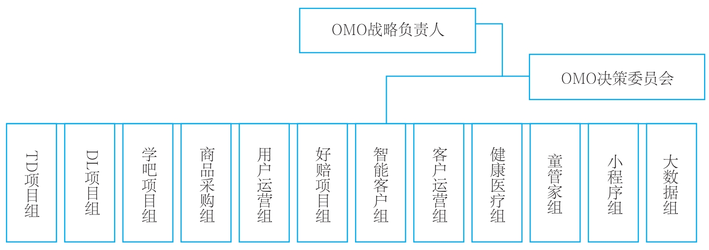 大童OMO战略执行项目组
