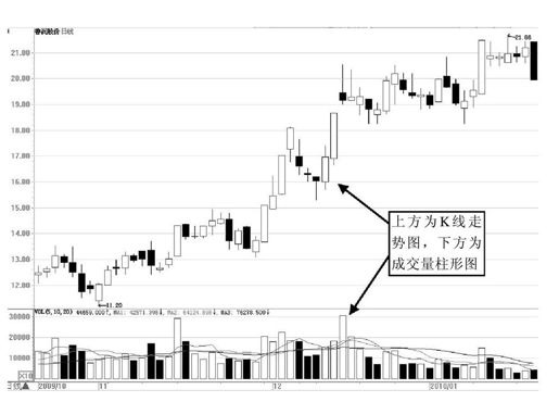 第1章 初入股市，看懂股市术语 图版 3