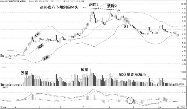 2.3 M头与顶背离：顶部风险通常先体现在轨道失真（图 5）