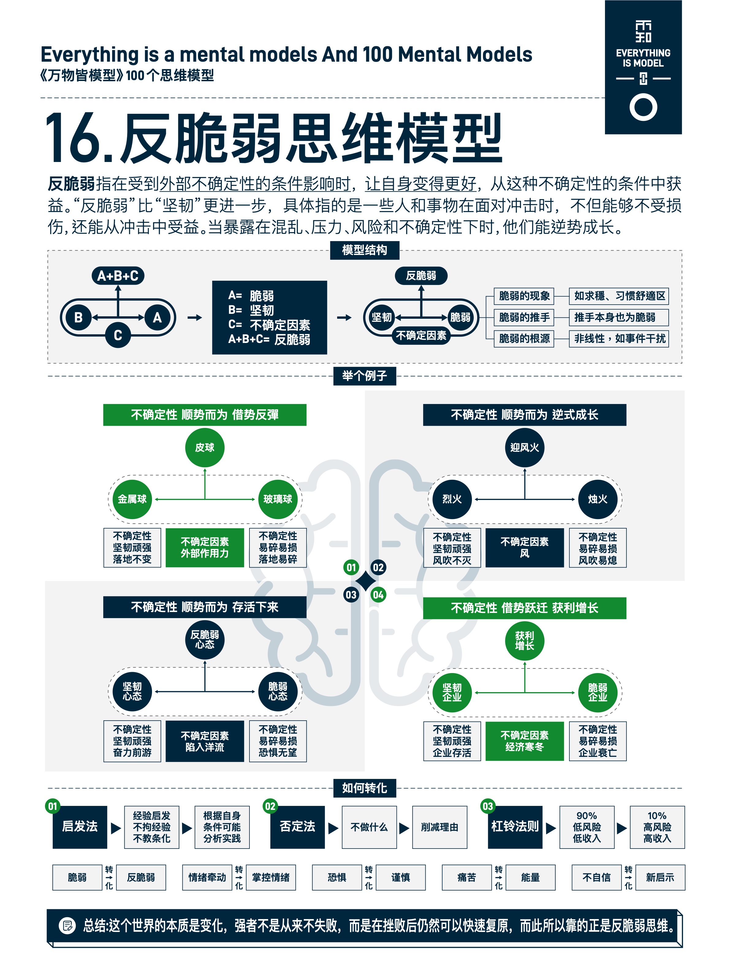 图版 16 反脆弱