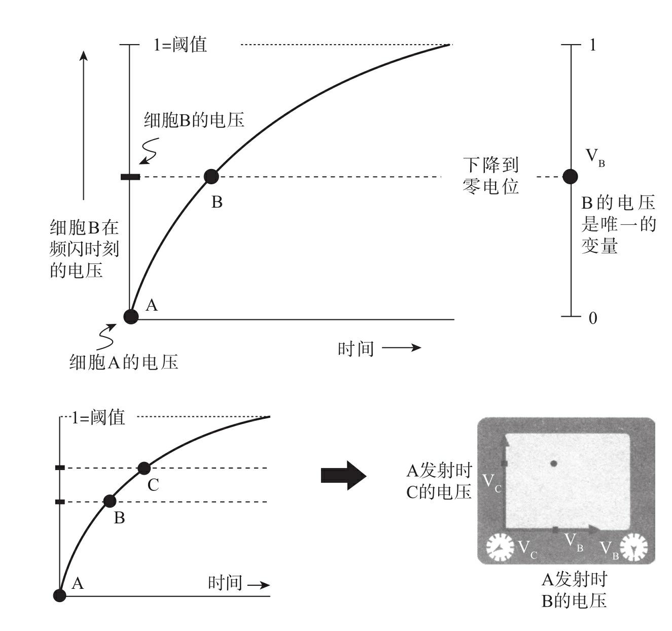 图1-2 3个振子同步模拟示意（续）