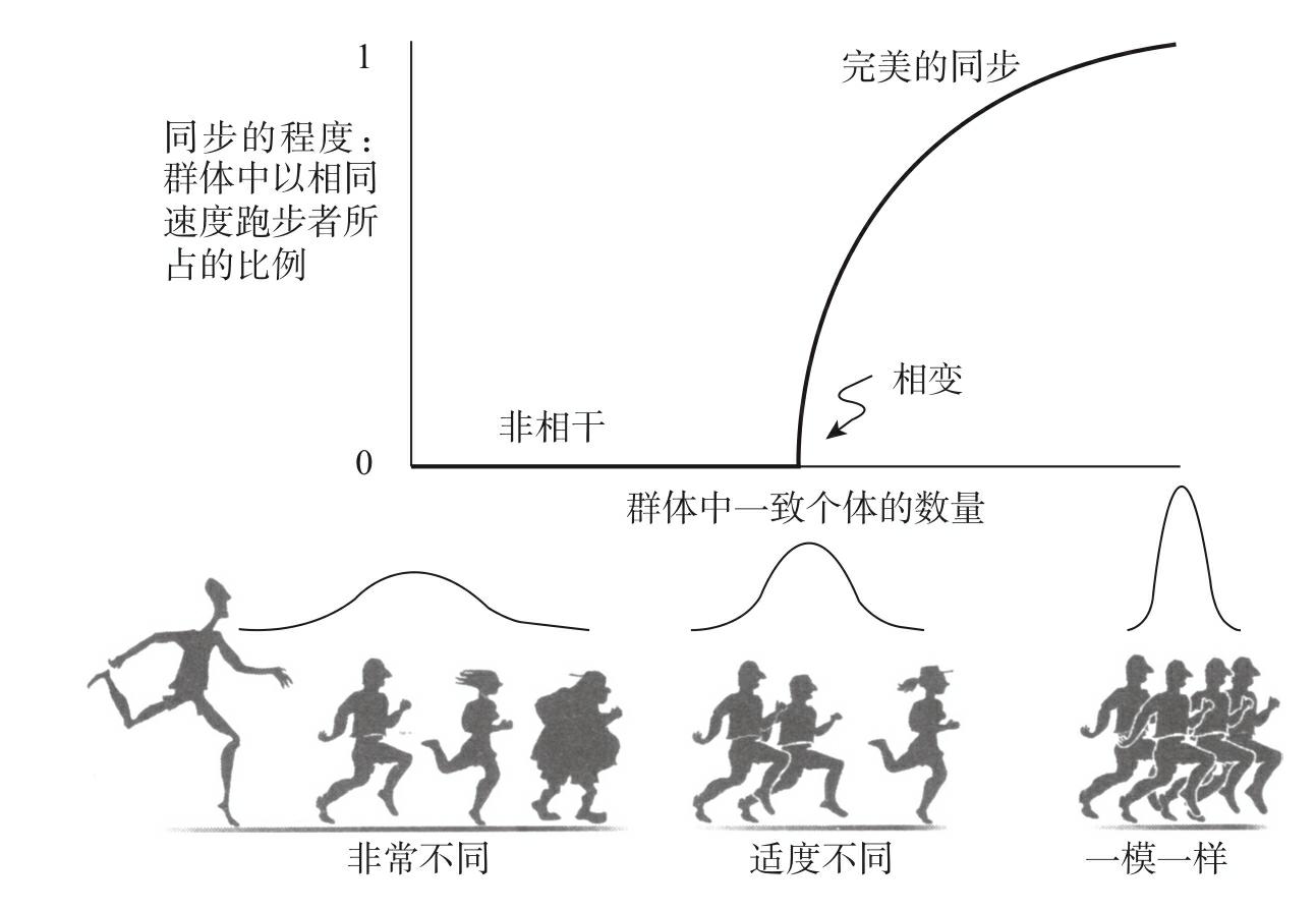 图2-3 不同跑步俱乐部中成员同步程度