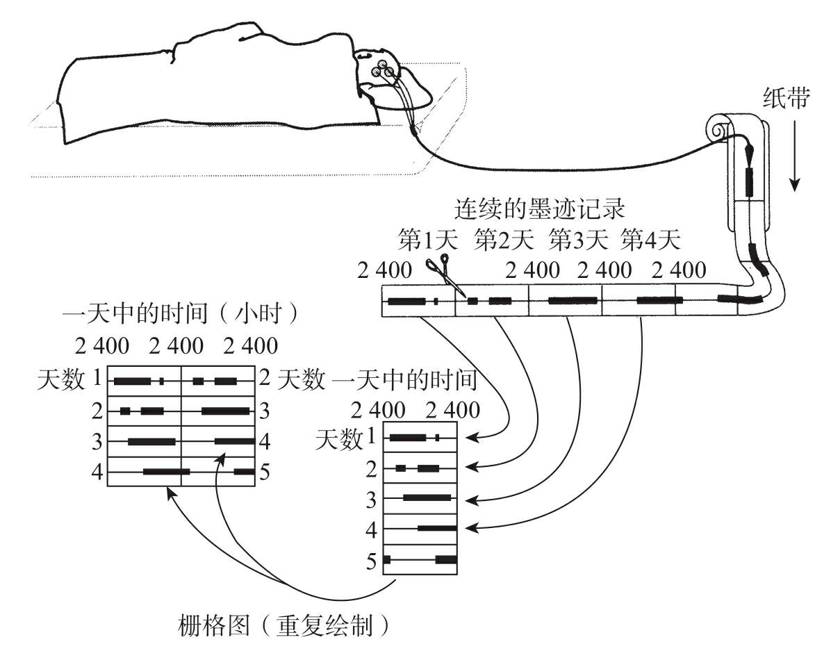 图3-1 睡眠周期与体温周期栅格图