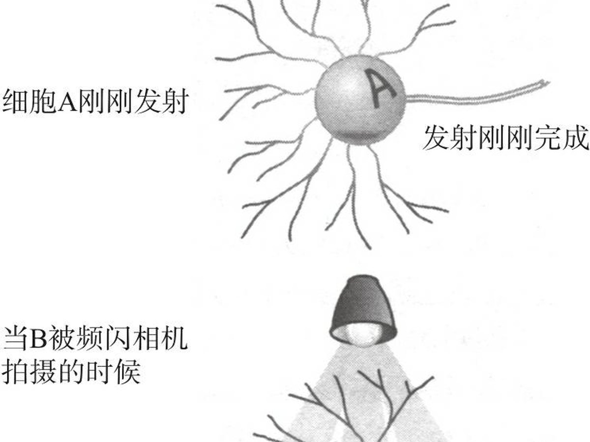 图1-2 3个振子同步模拟示意