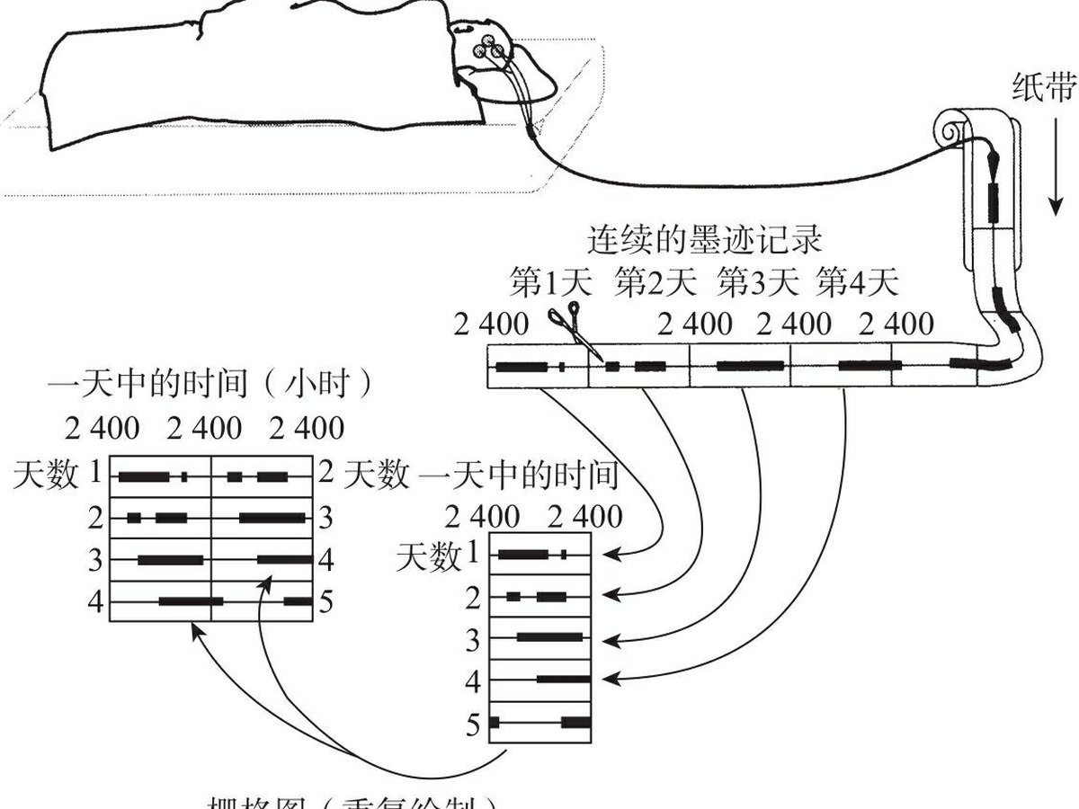 图3-1 睡眠周期与体温周期栅格图