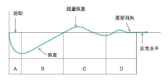 饱瘦训练营用户 BMI 分布