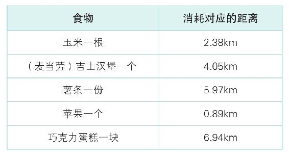 装备选择与身体负担控制