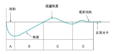 饱瘦训练营用户 BMI 分布