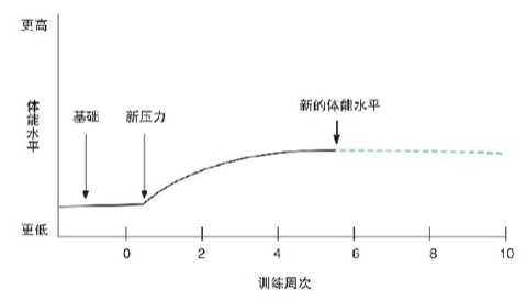 安全运动区间与最大摄氧量