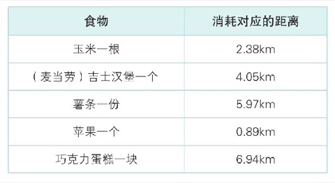 装备选择与身体负担控制