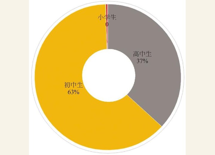 图2-2 搜题用户年级分布