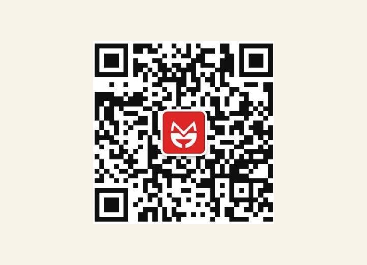 附录2： 城市数据团工作方法简介 图版3
