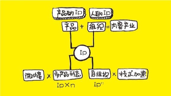 IP 与内容自组织