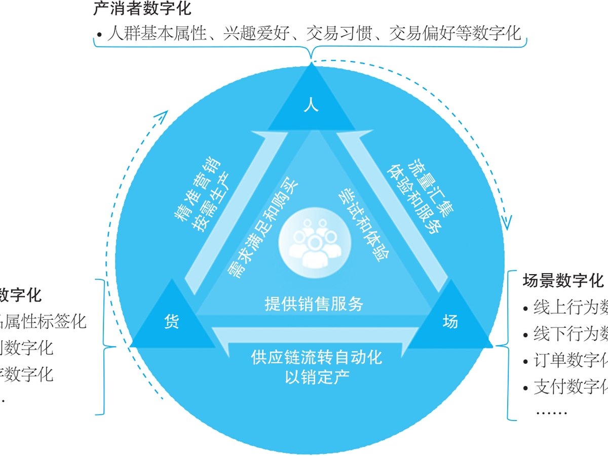 东鹏饮料组织数字化转型的三维空间