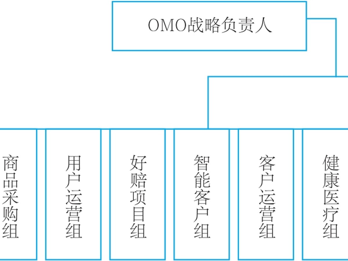 大童OMO战略执行项目组