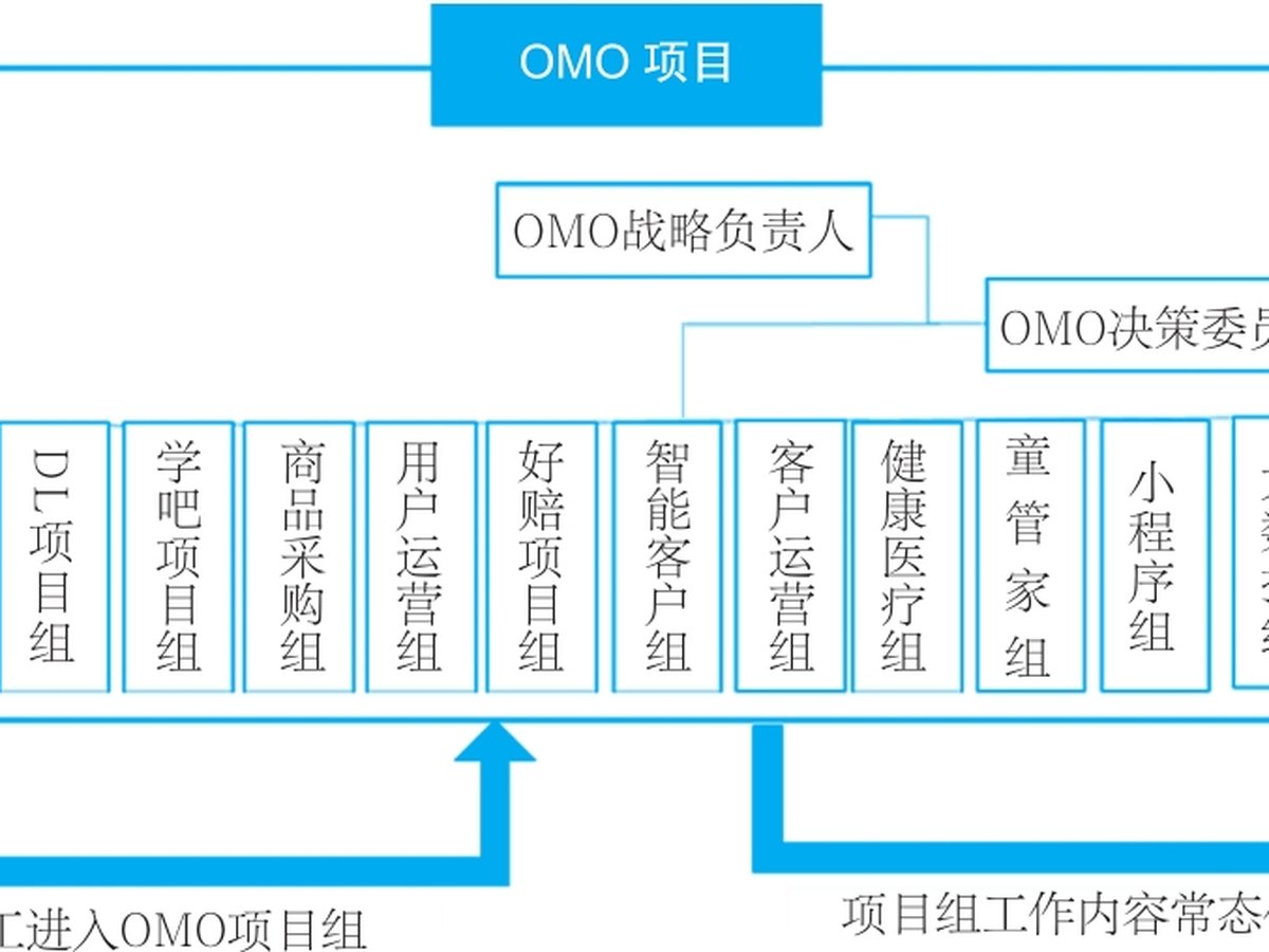 以项目制推动组织“软变革”的路径图