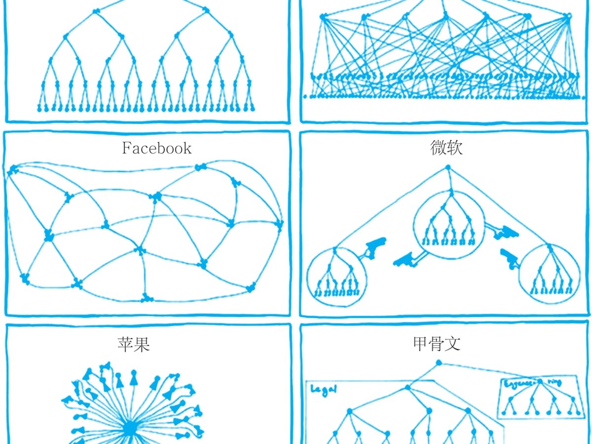 六家美国科技公司的组织结构图