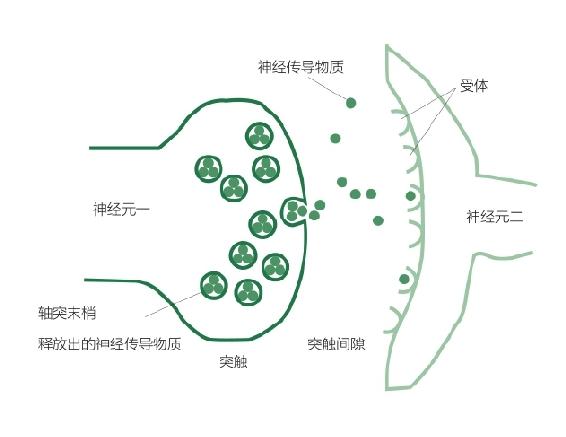 掌握睡眠原理｜睡觉按周期计，而不是按时间算 图2
