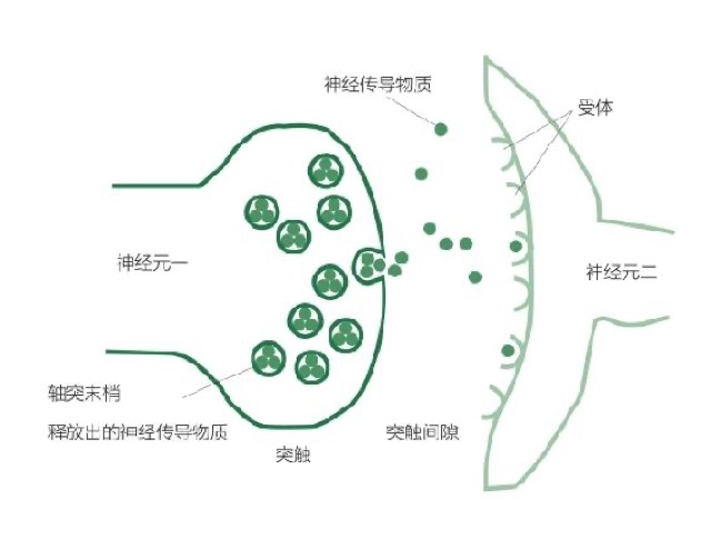 掌握睡眠原理｜睡觉按周期计，而不是按时间算 图2