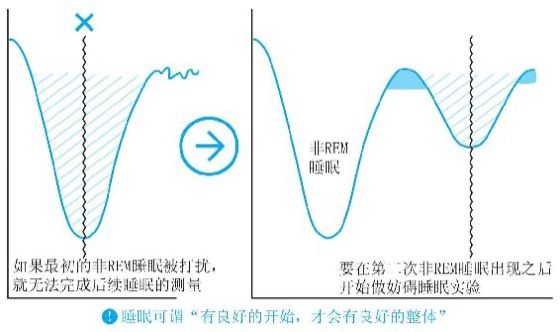 黄金90分钟：培养最强大脑和体魄