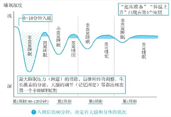 第三章 黄金90分钟睡眠法则