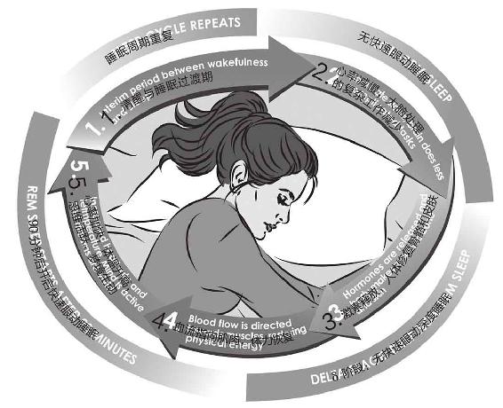 周末补觉真的有效吗