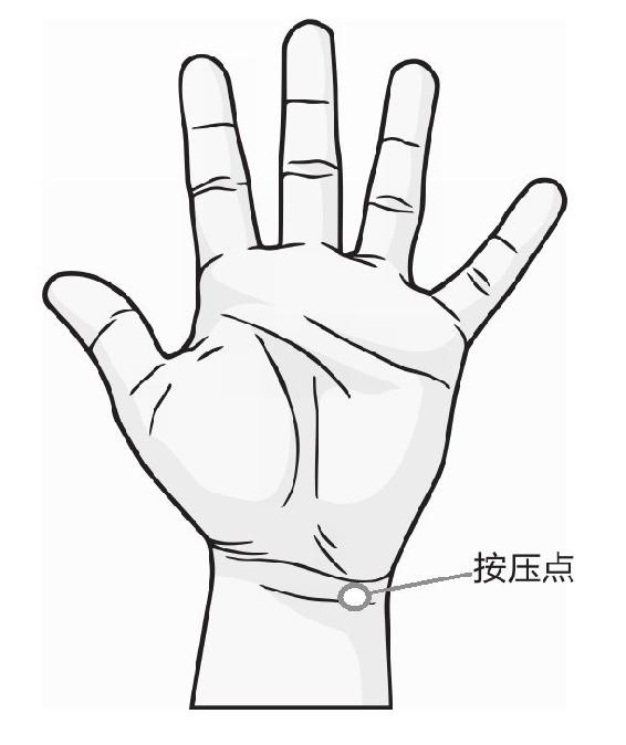 你是什么类型