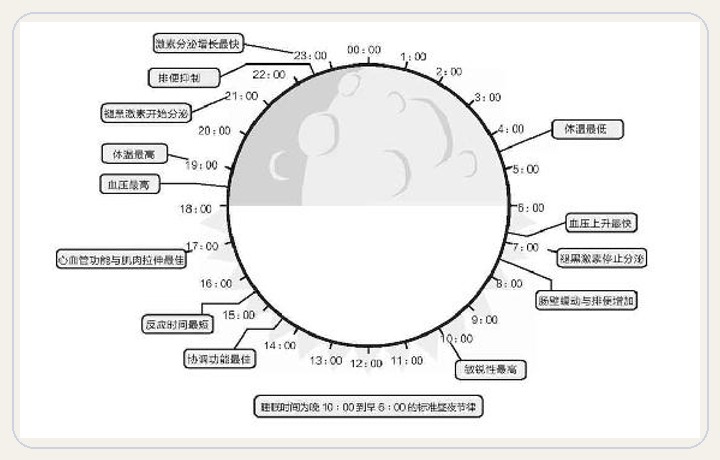 第二章 白天多晒太阳