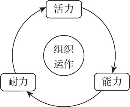 组织之本 图版 4