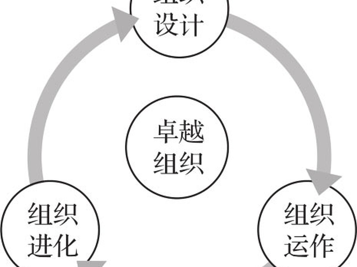 组织之本 图版 2