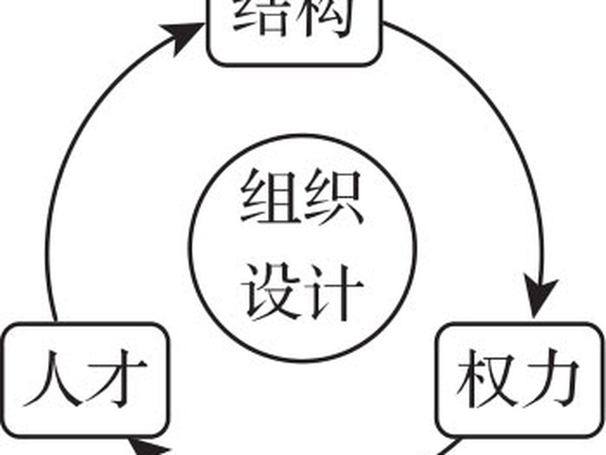 组织之本 图版 3