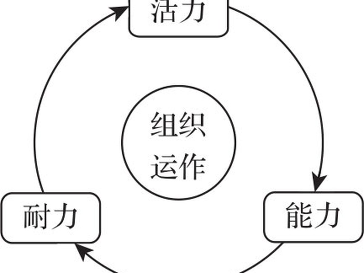 组织之本 图版 4