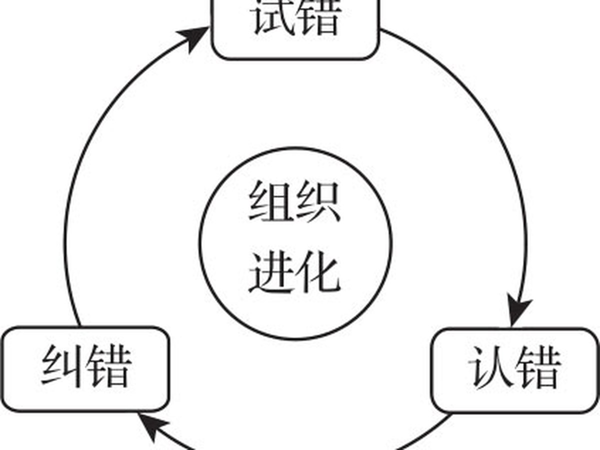 组织之本 图版 5